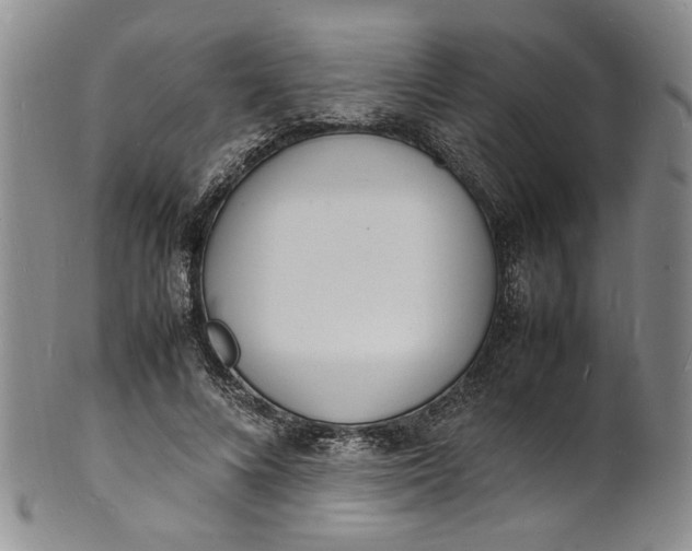 X0000100980688200807081244