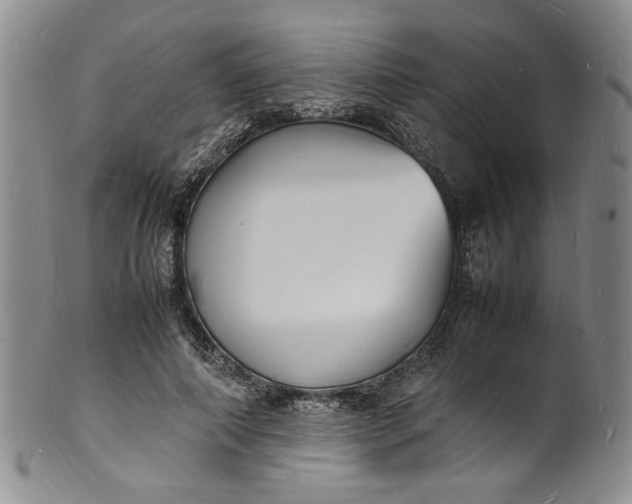 X0000100980690200807081244