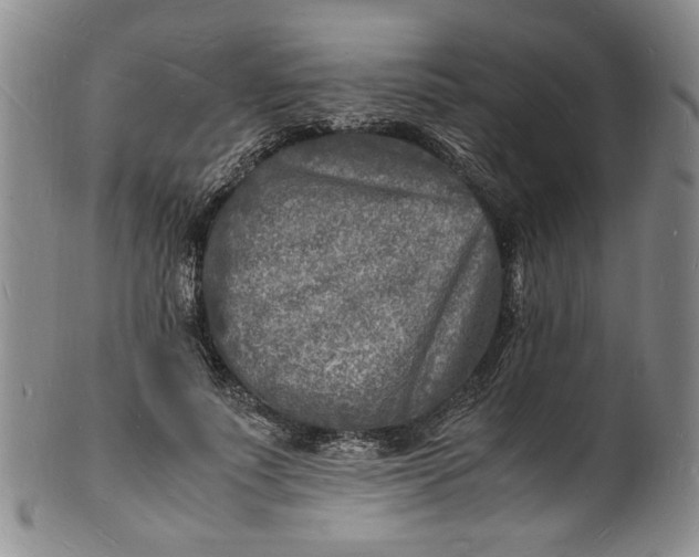 X0000100980691200807081244