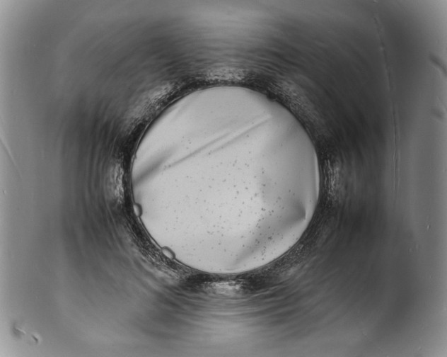 X0000100980692200807081244