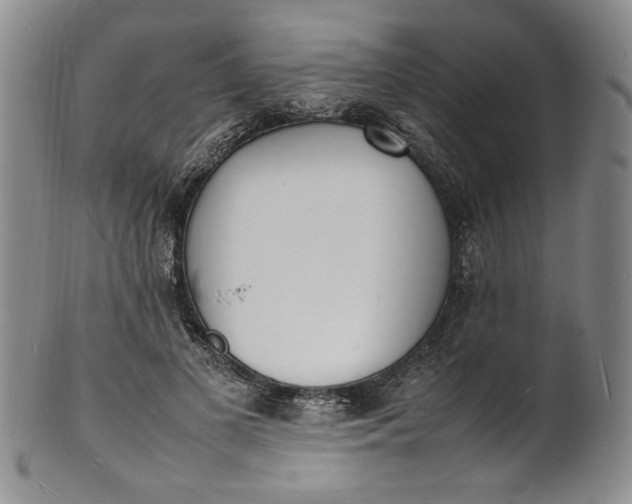 X0000100980693200807081244