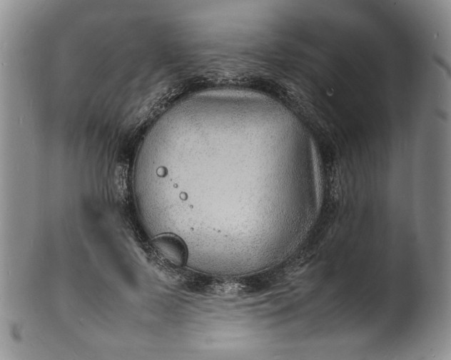 X0000100980695200807081244