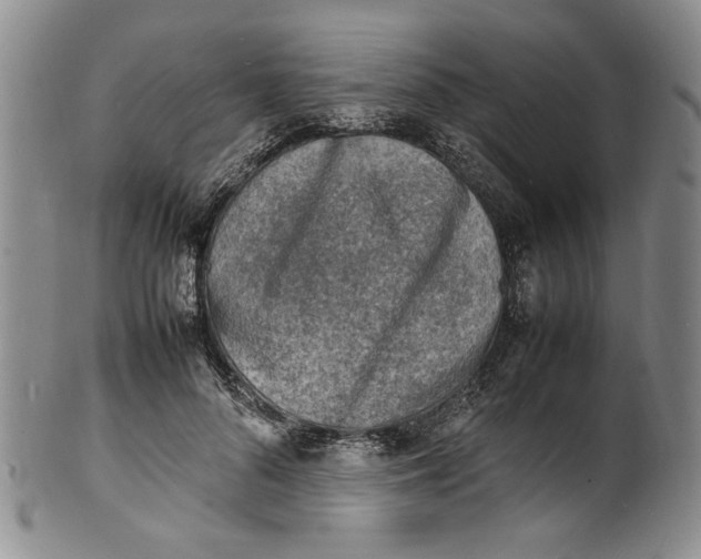 X0000100980696200807081244