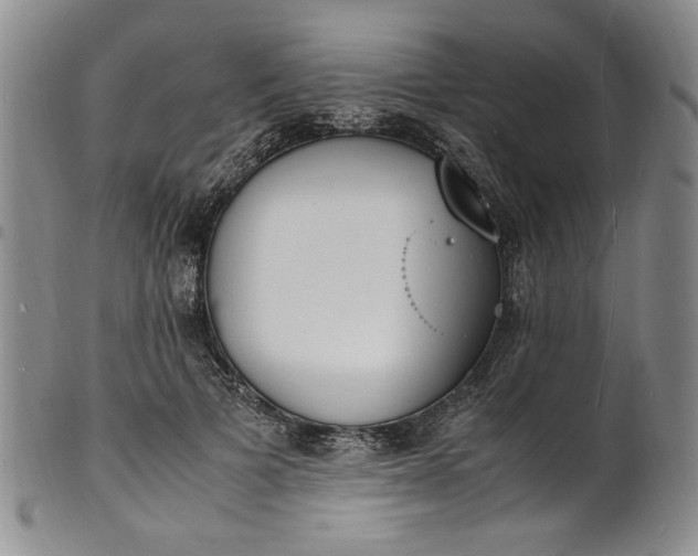 X0000100980697200807081244