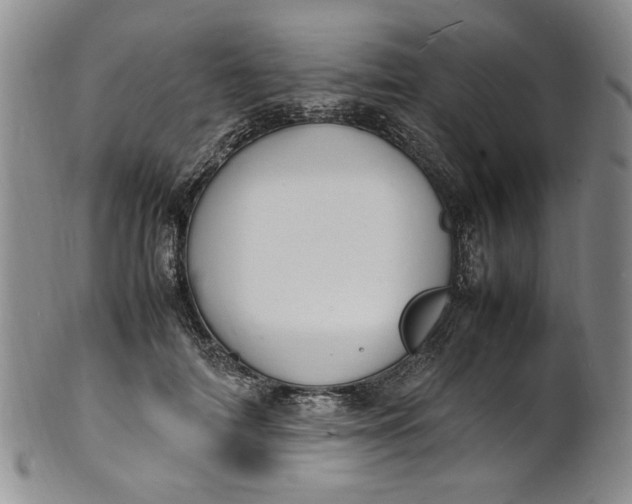 X0000100980698200807081244