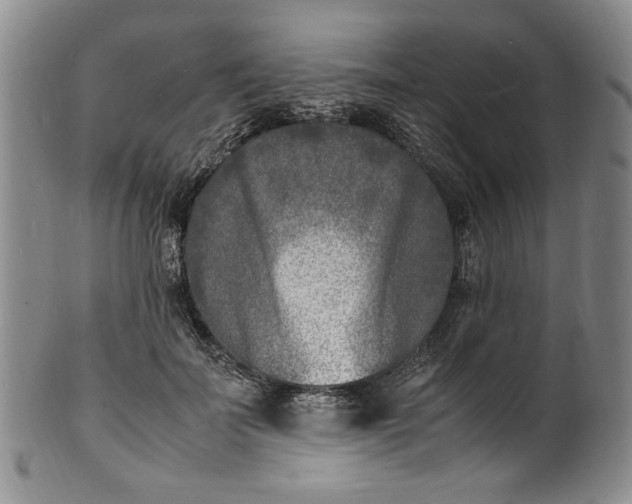 X0000100980699200807081244