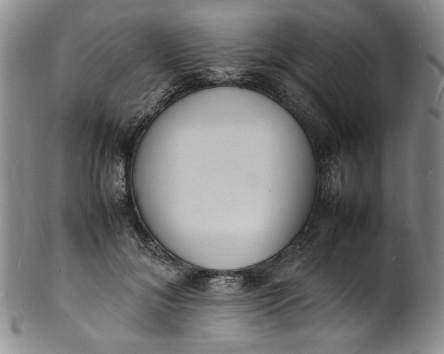 X0000100980700200807081244