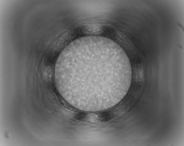 X0000100980701200807081244