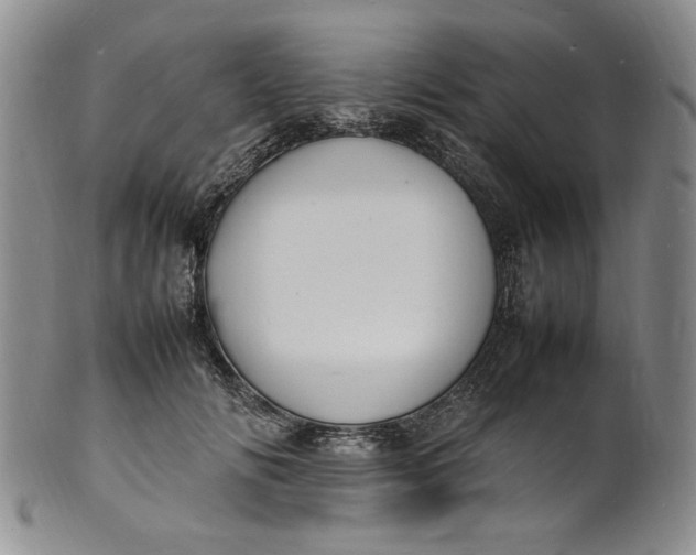 X0000100980702200807081244