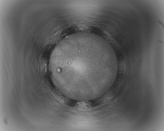 X0000100980703200807081244