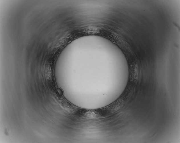 X0000100980704200807081244