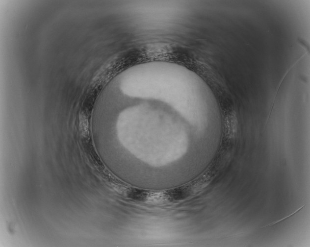 X0000100980705200807081244