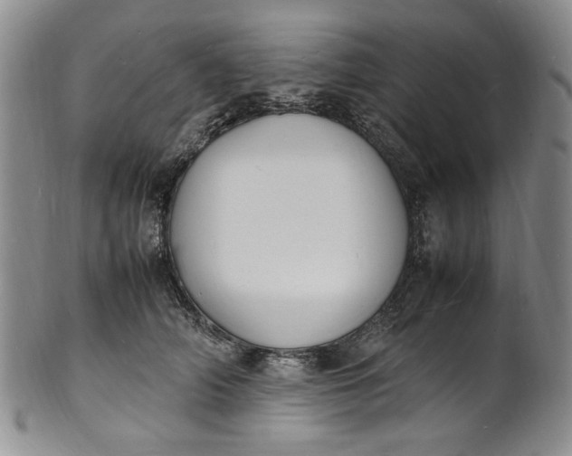 X0000100980706200807081244