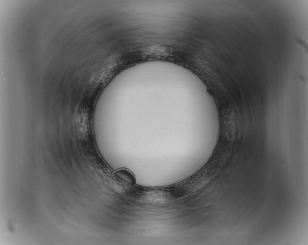 X0000100980708200807081244