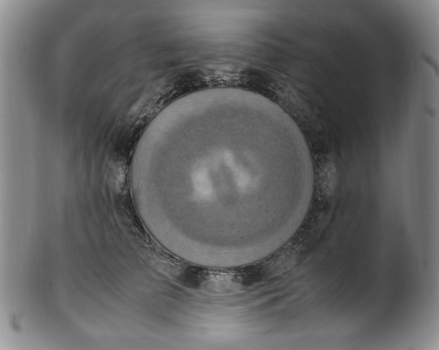 X0000100980709200807081244