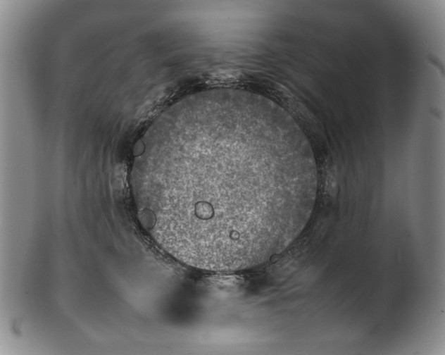 X0000100980711200807081244