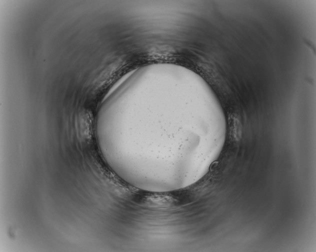 X0000100980712200807081244