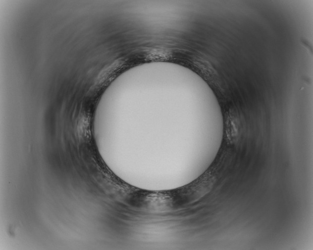 X0000100980714200807081244