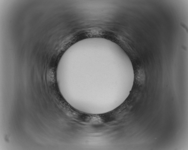 X0000100980715200807081244