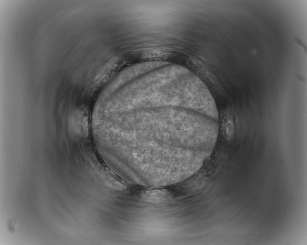 X0000100980716200807081244