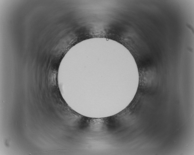 X0000100980717200807081244