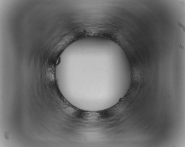 X0000100980719200807081243