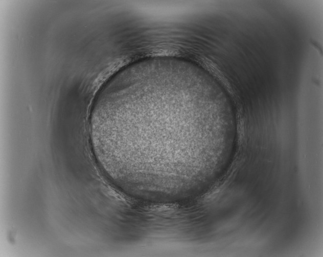 X0000100980721200807081243