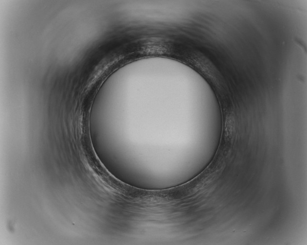 X0000100980722200807081243