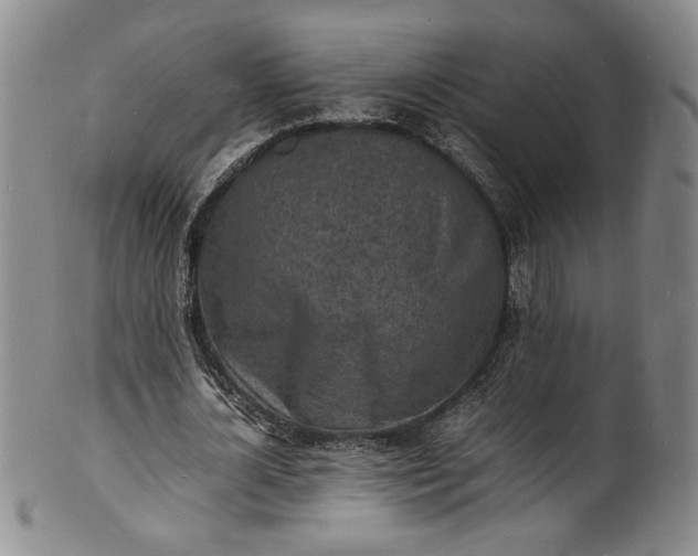 X0000100980724200807081243