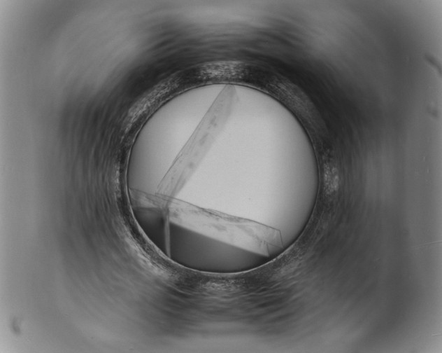 X0000100980725200807081243