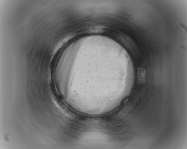 X0000100980726200807081243