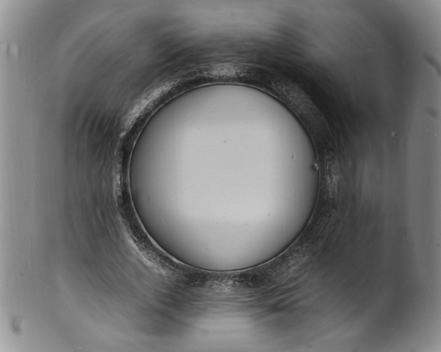 X0000100980728200807081243