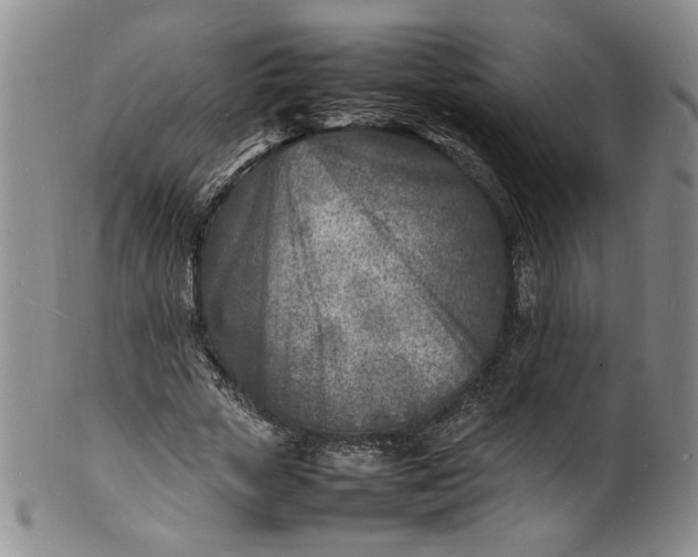 X0000100980729200807081243