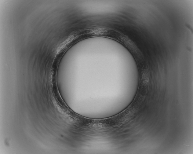 X0000100980730200807081243