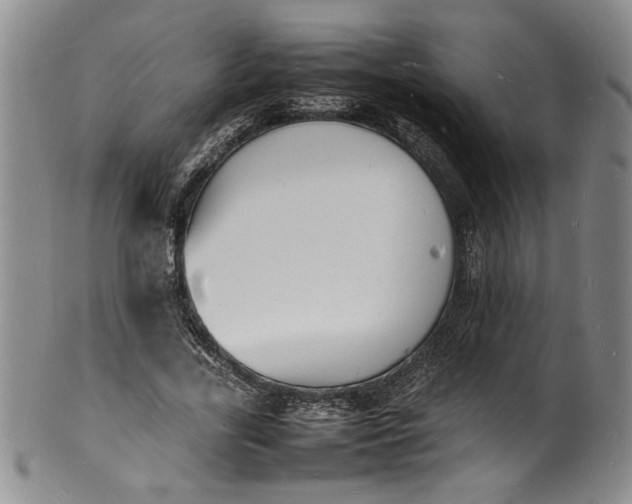 X0000100980731200807081243