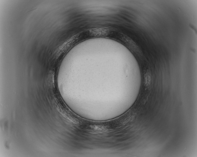 X0000100980733200807081243