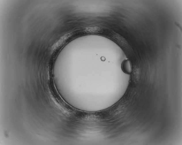 X0000100980734200807081243