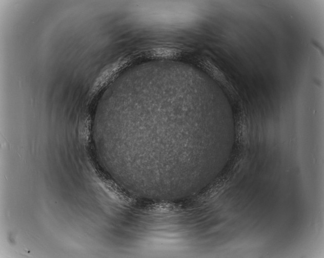 X0000100980736200807081243