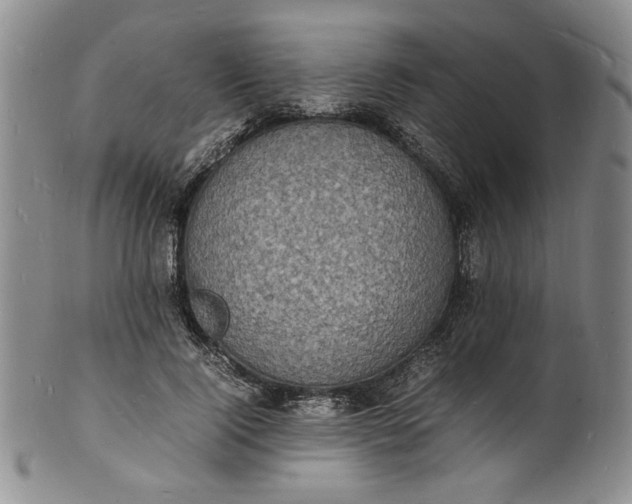 X0000100980740200807081243