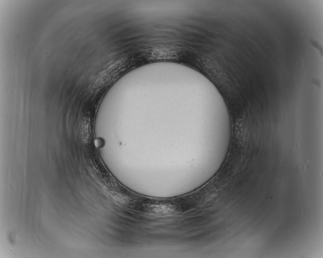 X0000100980741200807081243