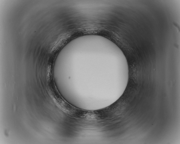 X0000100980742200807081243