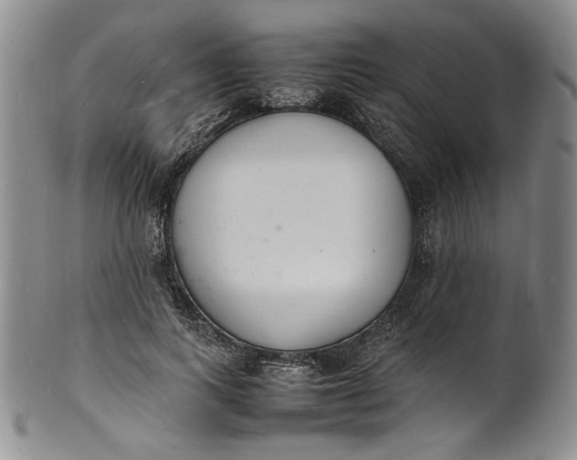 X0000100980743200807081243