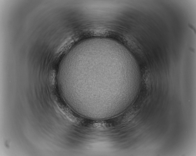 X0000100980744200807081243