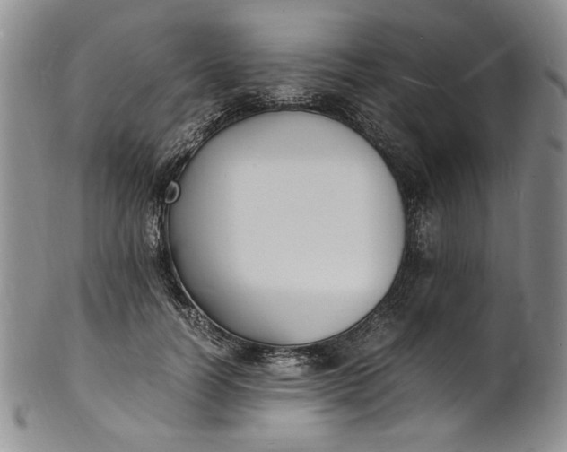 X0000100980746200807081243