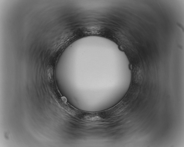 X0000100980747200807081243