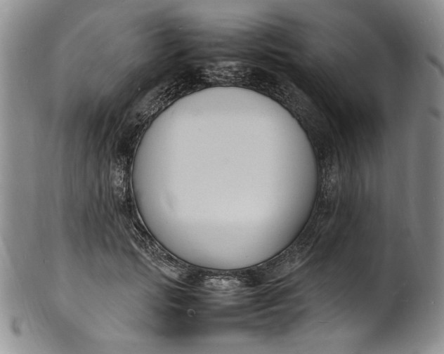 X0000100980749200807081243