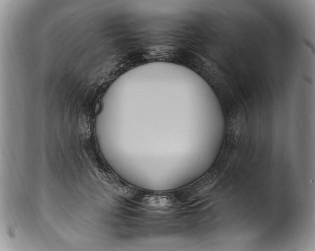 X0000100980751200807081243