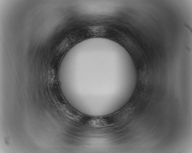 X0000100980752200807081243