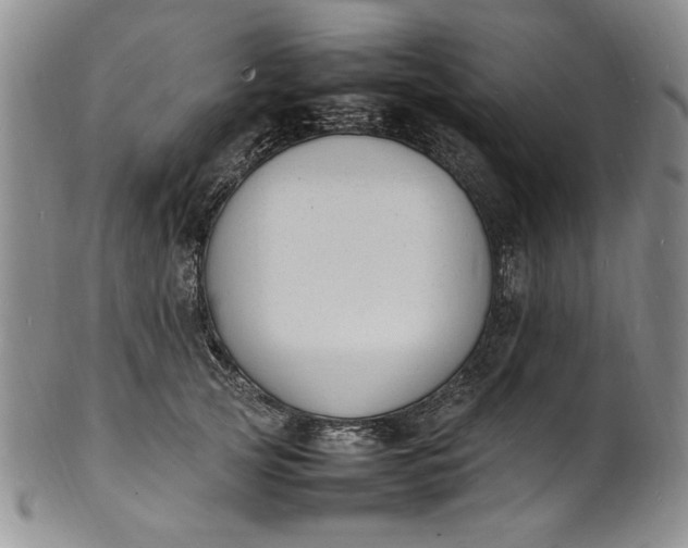 X0000100980753200807081243