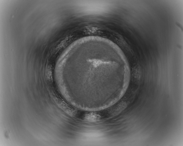 X0000100980754200807081243